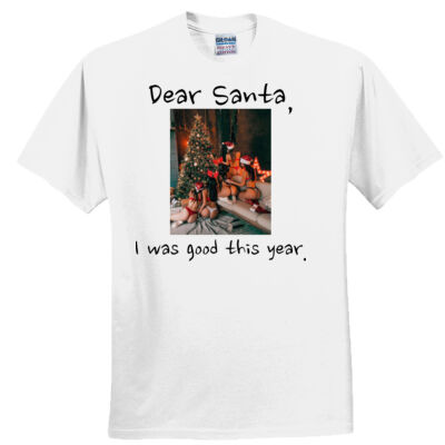 Dear Santa Thumbnail